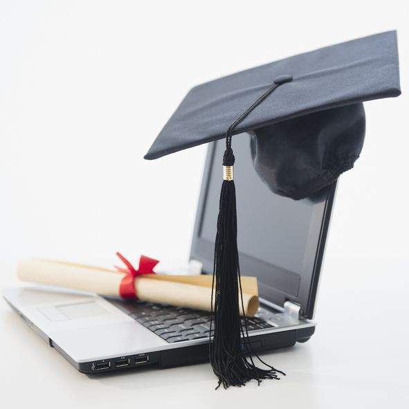 Online degree or professional certificate