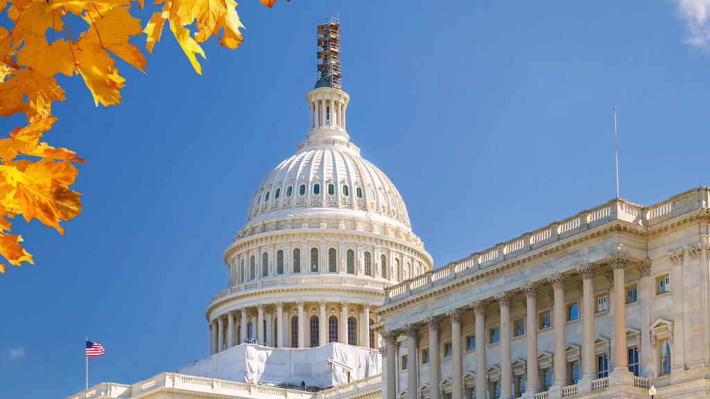 Image of the US Capitol Building